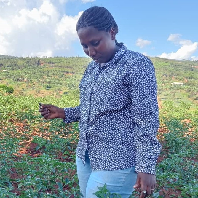 DONA FARM FRESH LTD, a vision for Rwanda’s future, a center for job creation, where smallholder farmers are empowered, environment protected , and national economy strengthened through modern and sustainable agriculture.