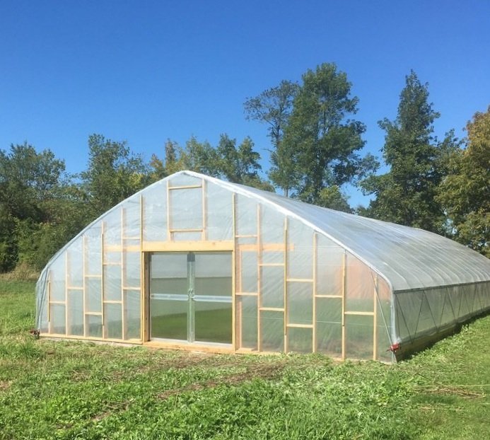 Greenhouse Farming in Rwanda